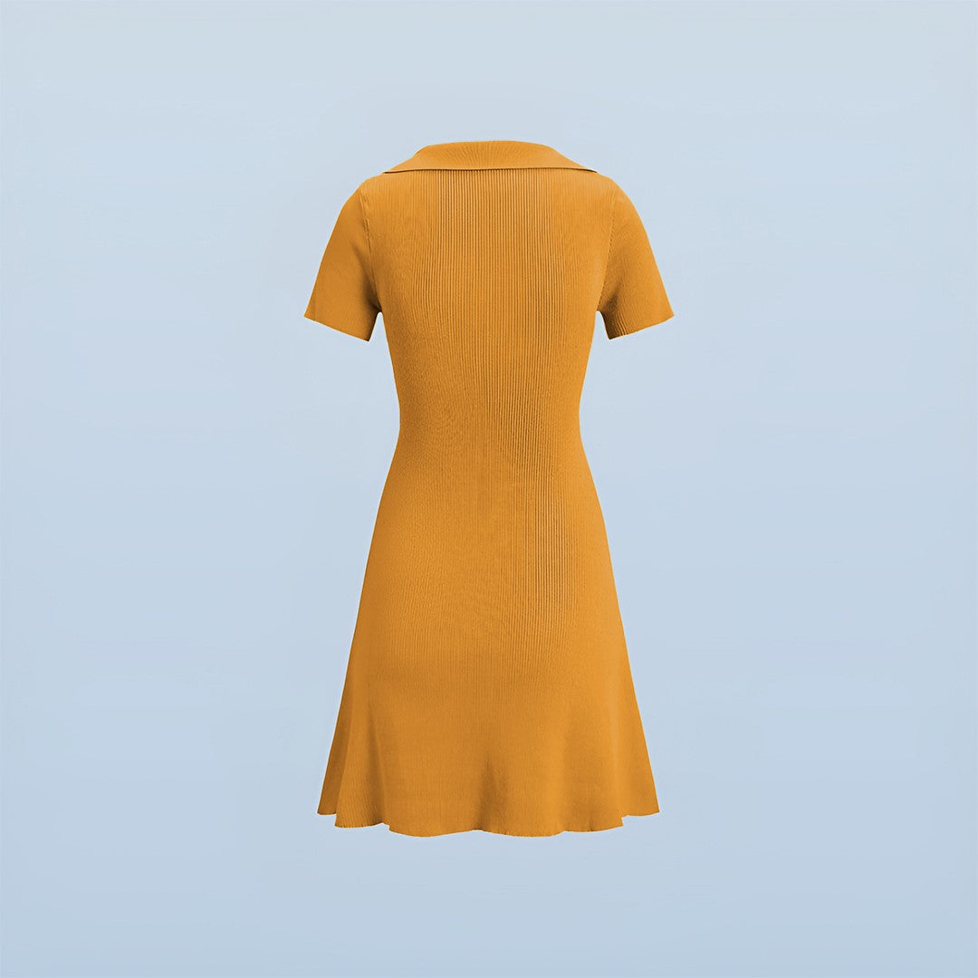 Collared Square Neck Dress